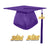 Shiny Kindergarten Graduation Cap Tassel Charm Purple (One Size Fits All)